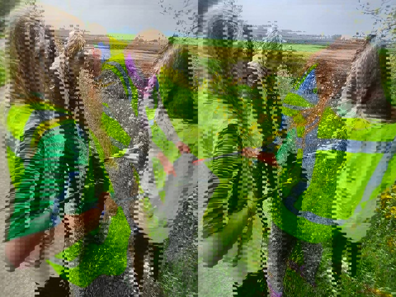 D8260fc4 6Bab 48C9 80B6 A6bd49f4d9d4