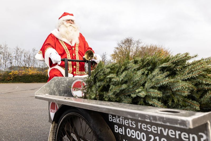 Waar Laat Ik Mijn Kerstboom