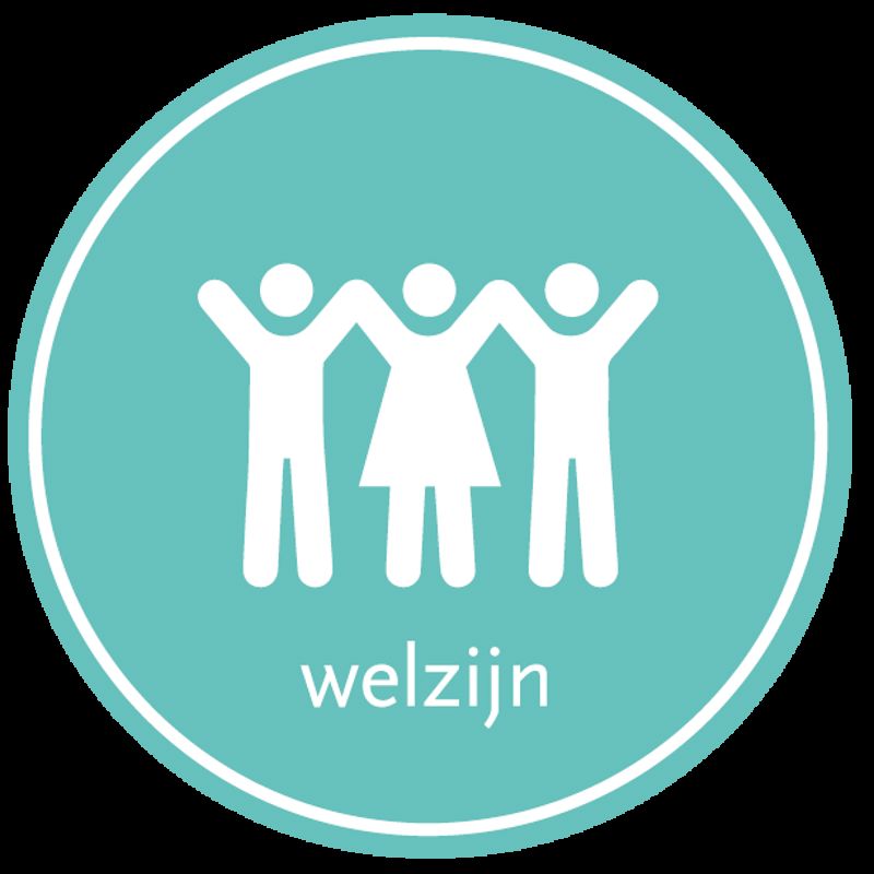 CE Pijler WELZIJN@300X 8