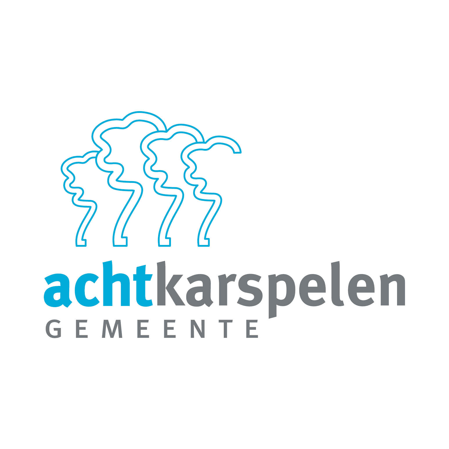Gemeente Achtkarspelen