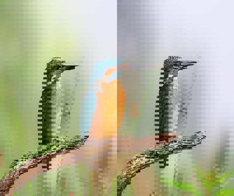 9A5c41cb 52B2 4980 8E2c 96F5e0aaa552