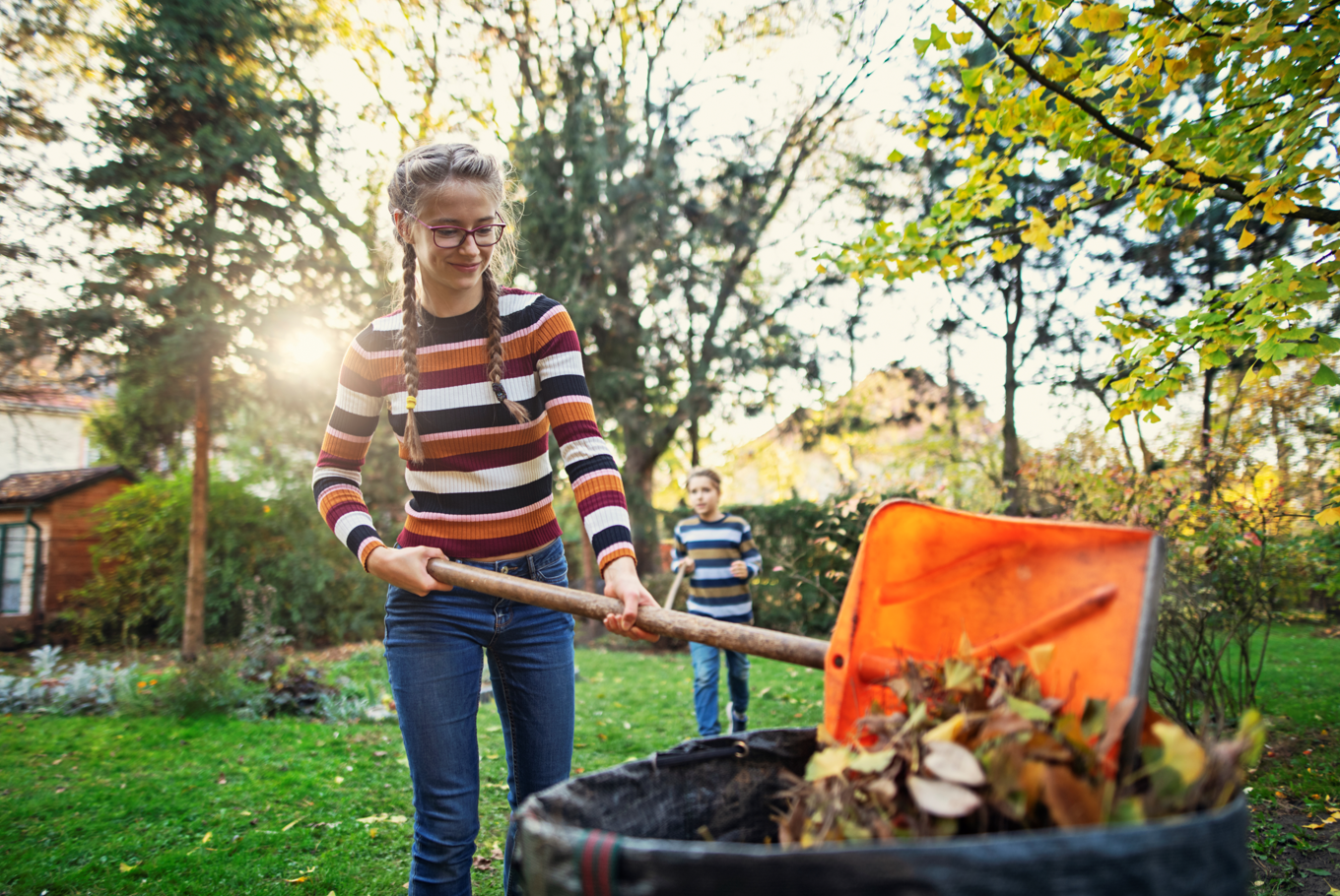 Compost Meisje Schept Bladeren In Compostvat LR Stock