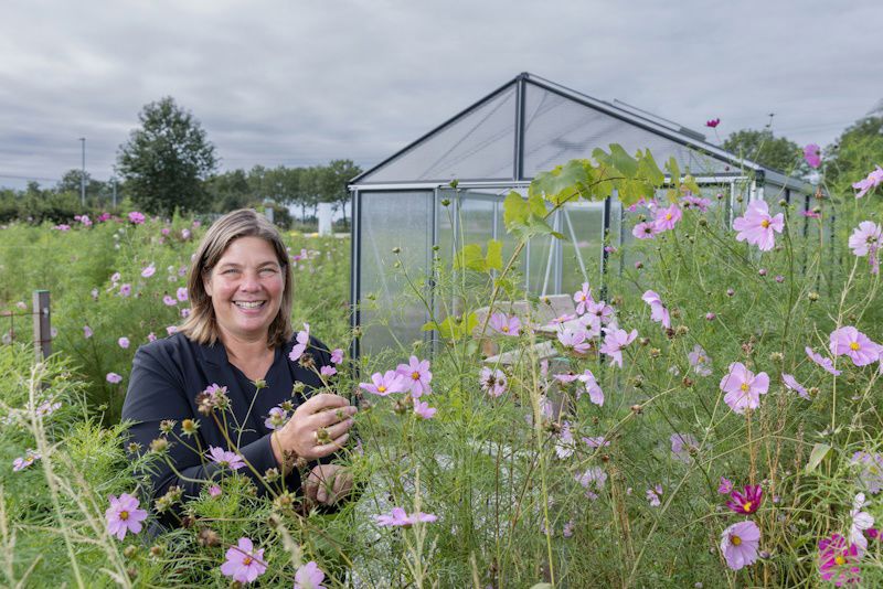 Innovatie Omrin Biodiversiteit Ecopark De Wierde 1