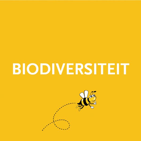Biodiversiteit Himmelwike