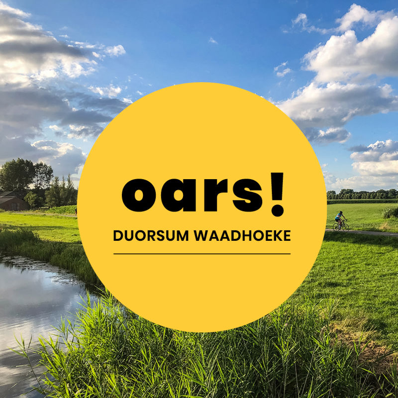 Waadhoeke Concept Oars5