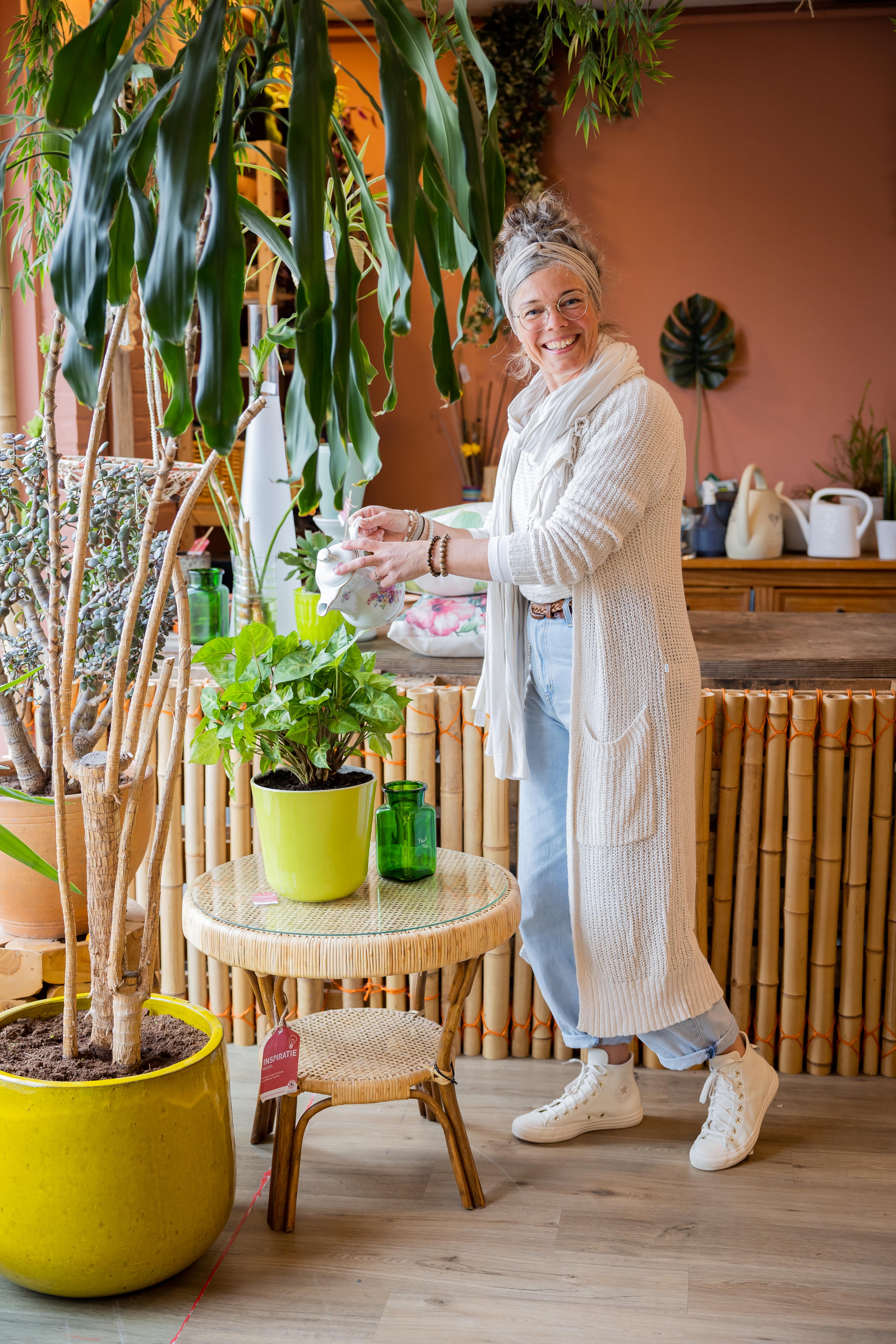 Ineke Van Sneltrein Naar Stoptrein