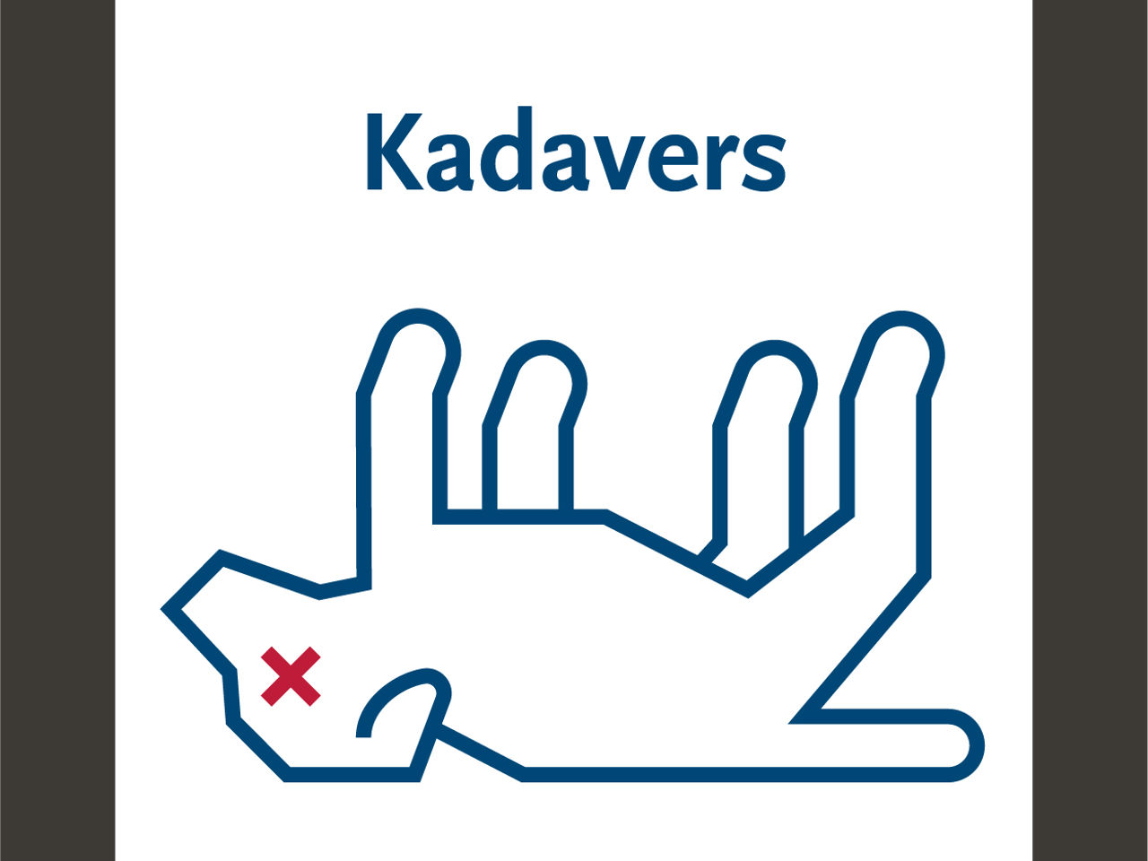 Kadavers