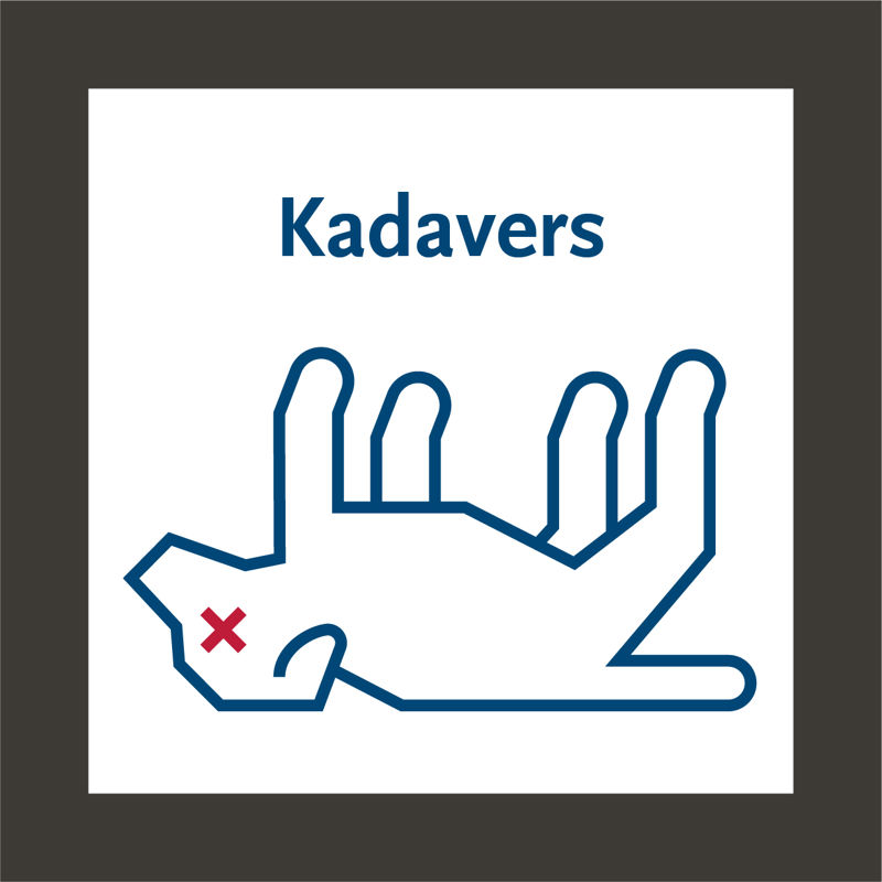 Kadavers