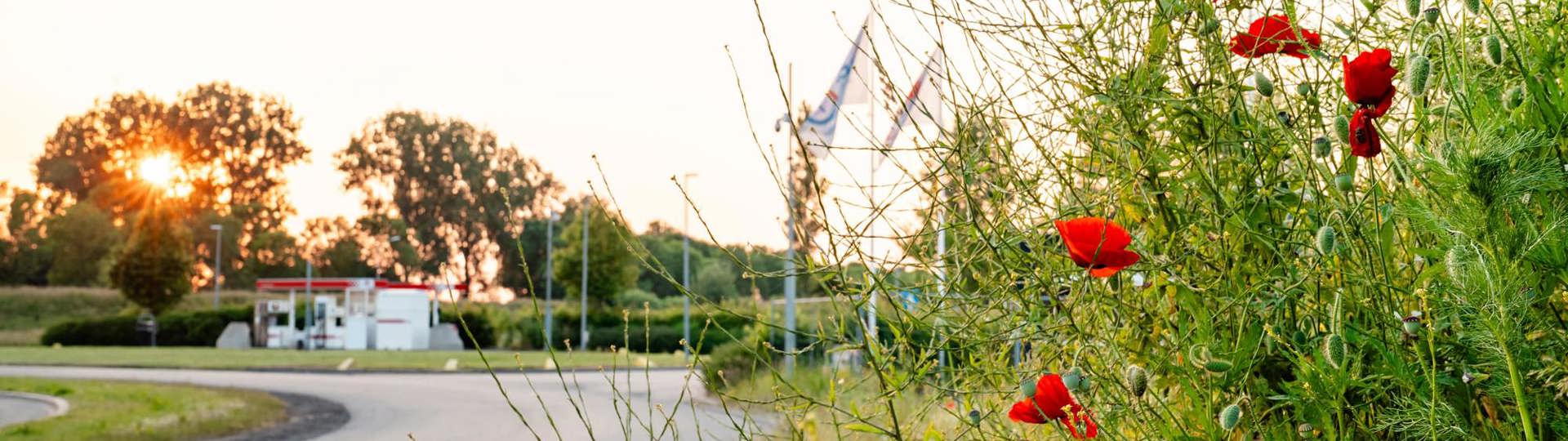 Tankstation Met Bloemen EDW HR Liggend Min