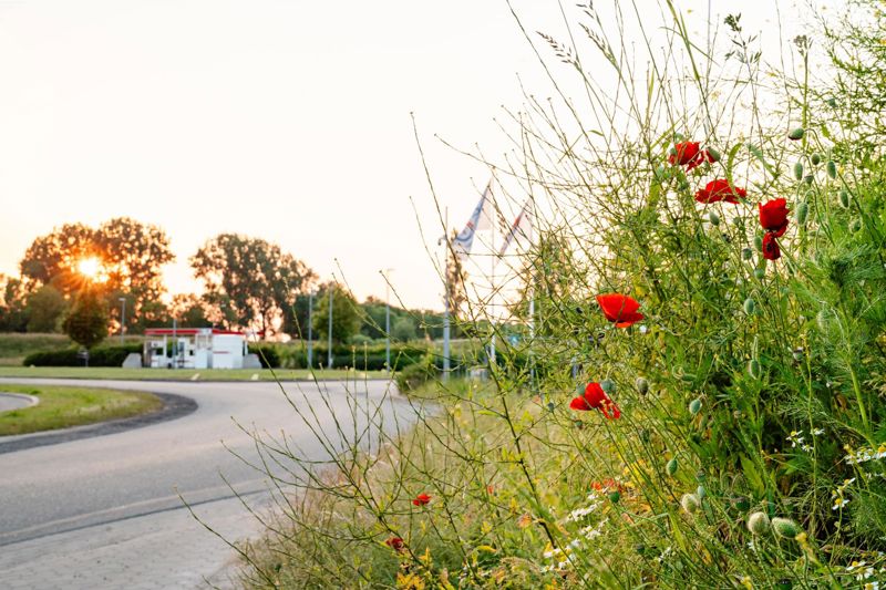 Tankstation Met Bloemen EDW HR Liggend Min